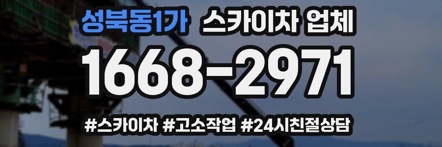 성북동1가 스카이차 업체