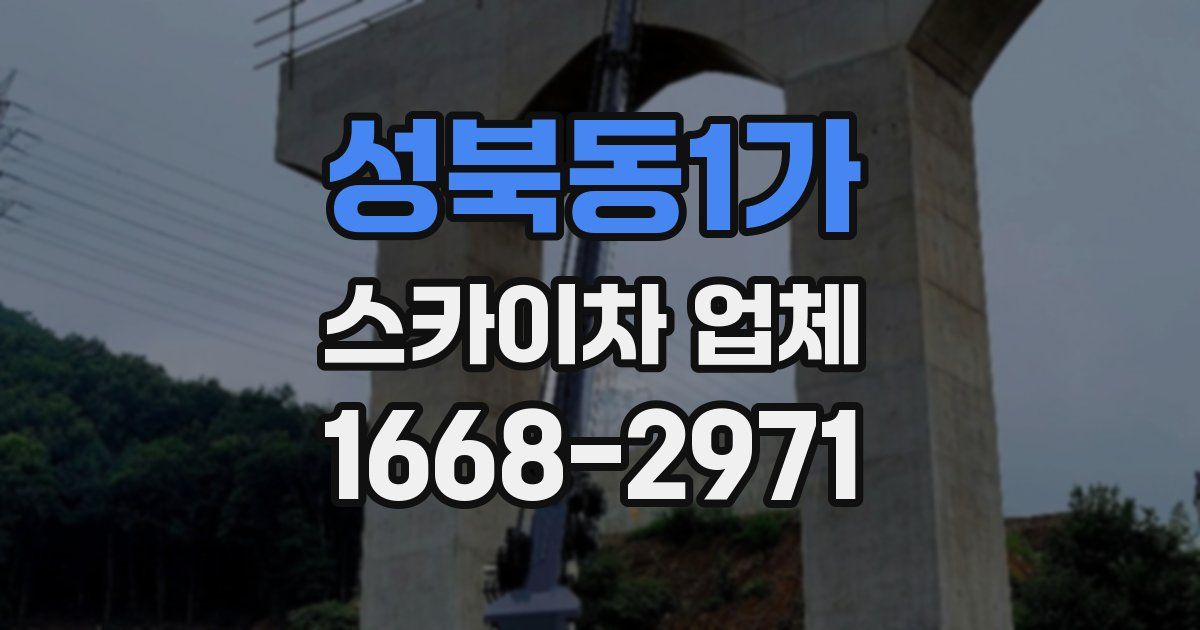 성북동1가 스카이차 업체
