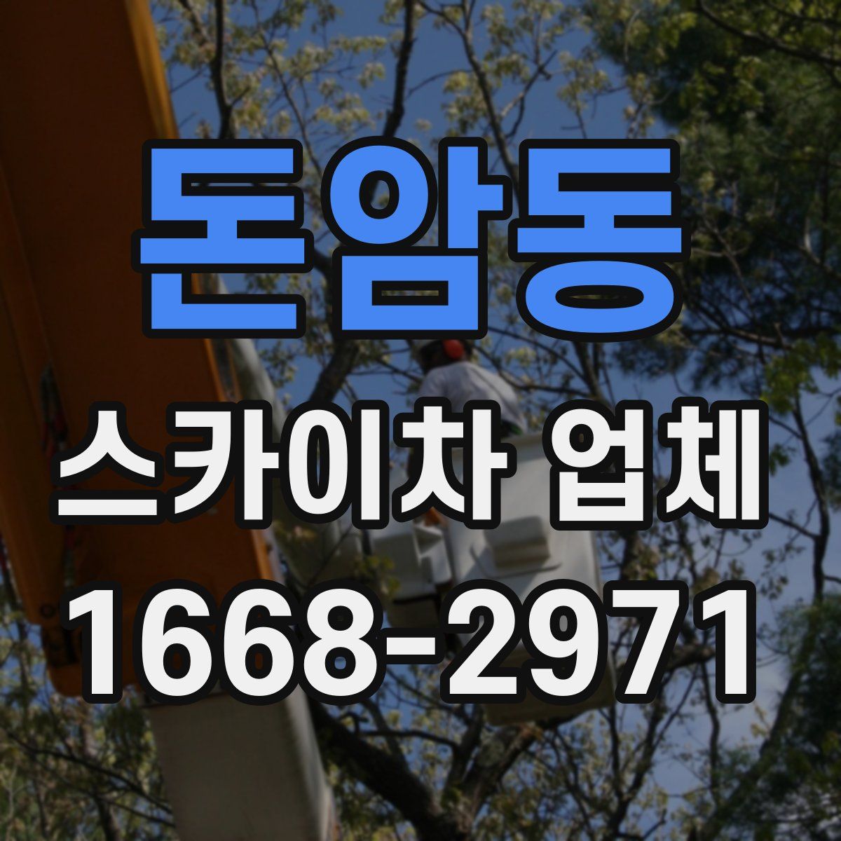 돈암동 스카이차 업체