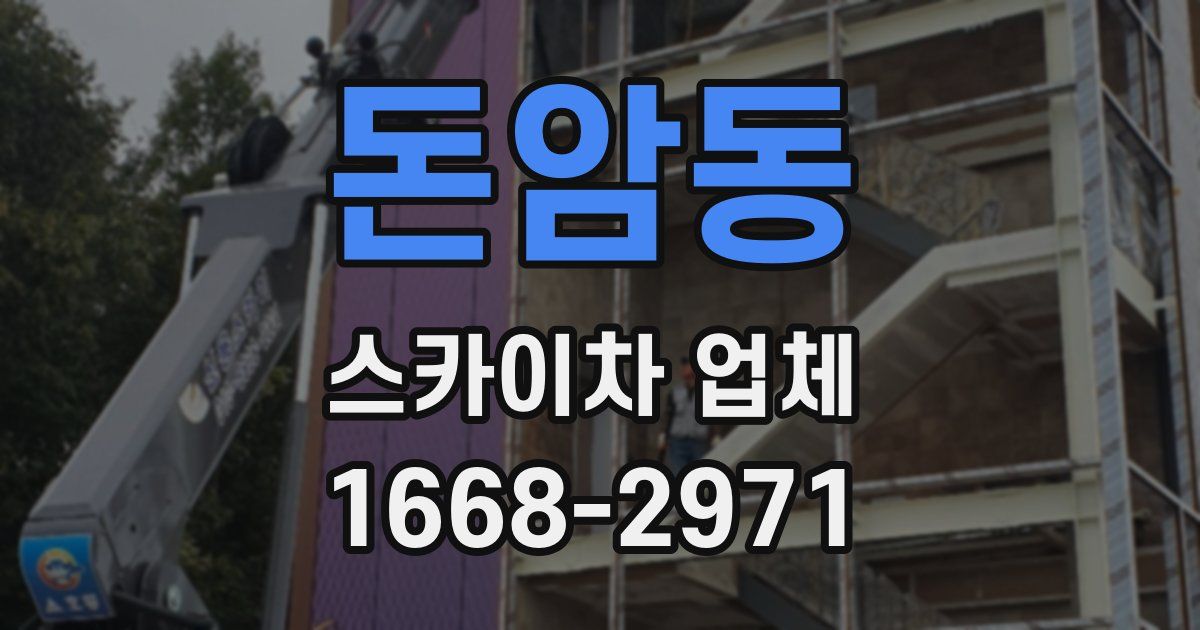 돈암동 스카이차 업체