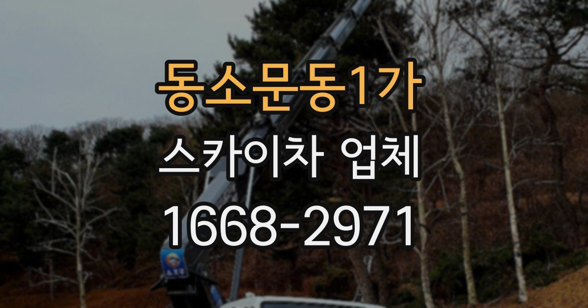 동소문동1가 스카이차 업체