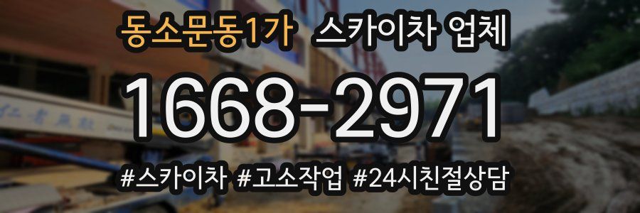 동소문동1가 스카이차 업체