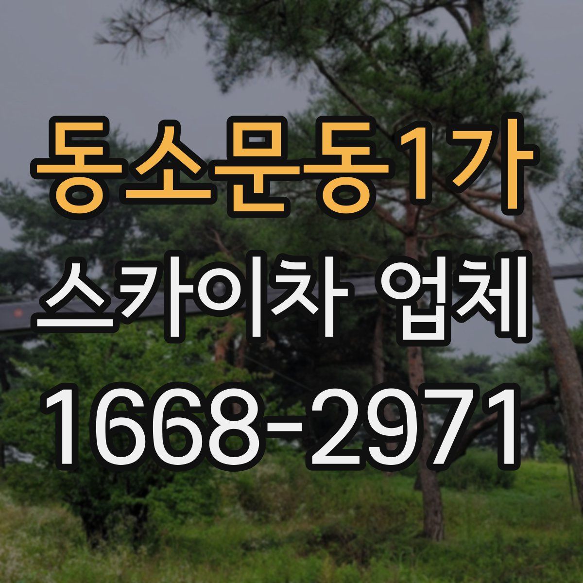동소문동1가 스카이차 업체