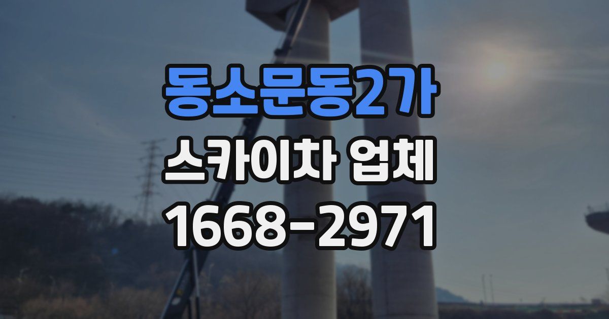 동소문동2가 스카이차 업체