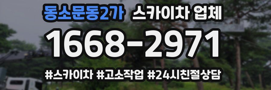 동소문동2가 스카이차 업체