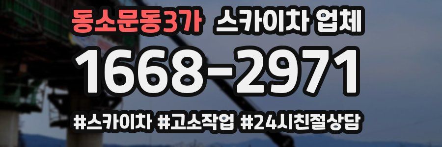 동소문동3가 스카이차 업체
