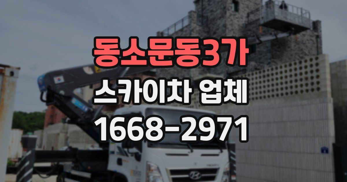 동소문동3가 스카이차 업체