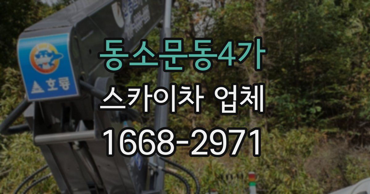 동소문동4가 스카이차 업체