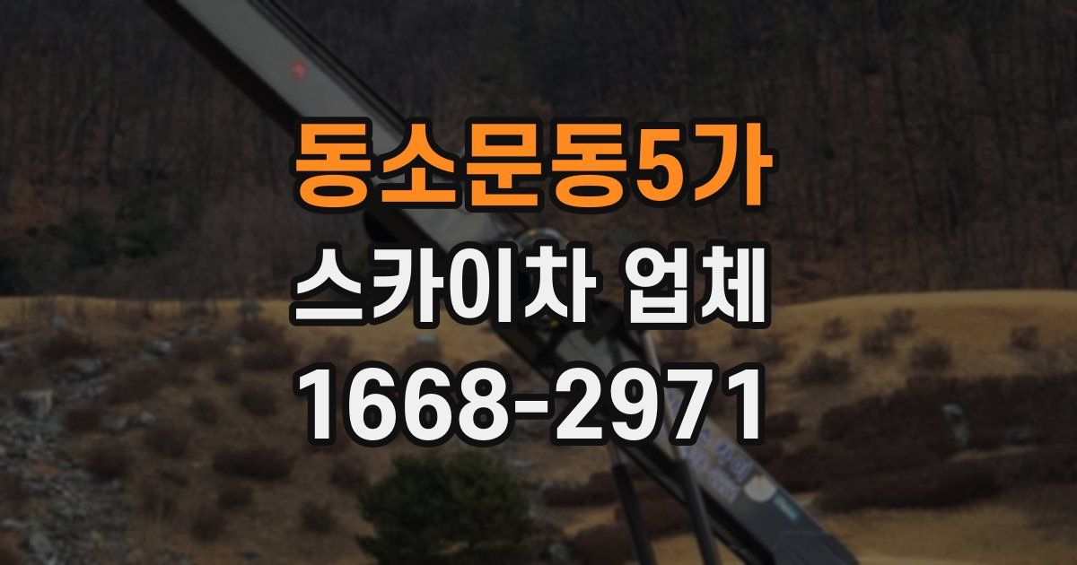 동소문동5가 스카이차 업체