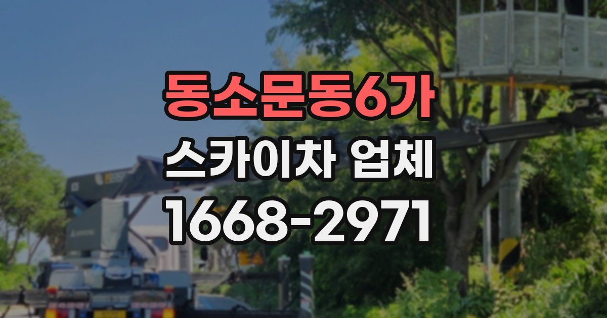 동소문동6가 스카이차 업체