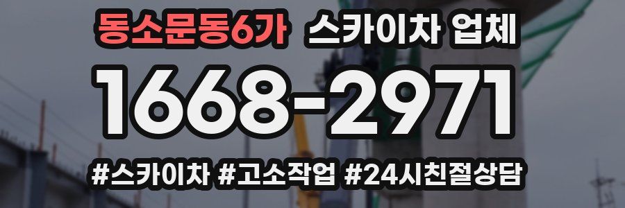동소문동6가 스카이차 업체