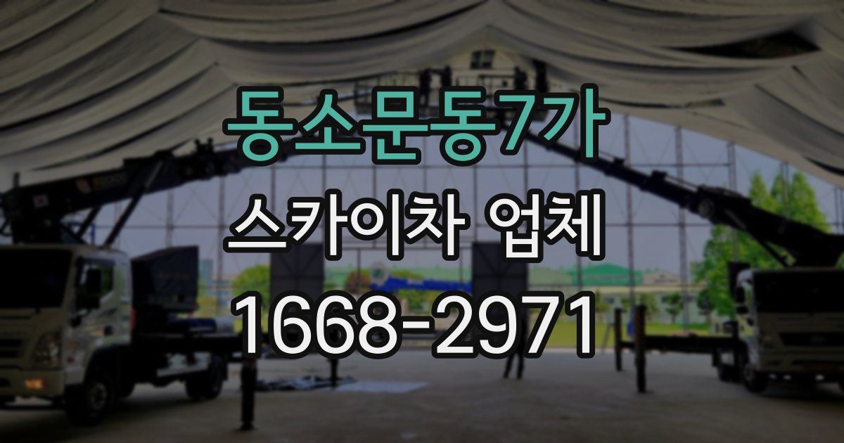 동소문동7가 스카이차 업체