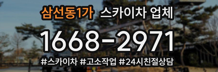 삼선동1가 스카이차 업체