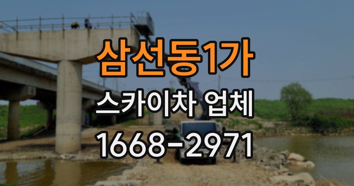 삼선동1가 스카이차 업체
