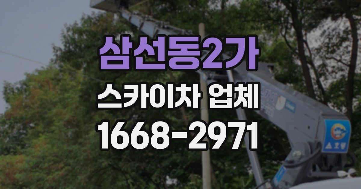 삼선동2가 스카이차 업체