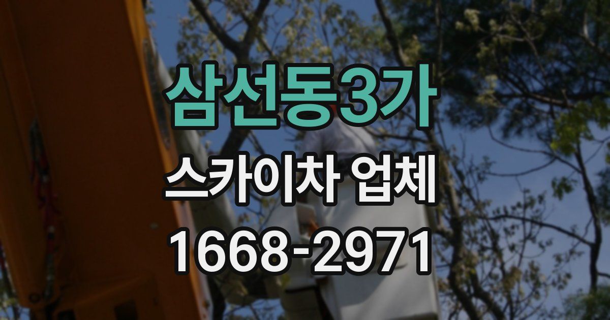 삼선동3가 스카이차 업체