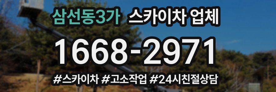 삼선동3가 스카이차 업체