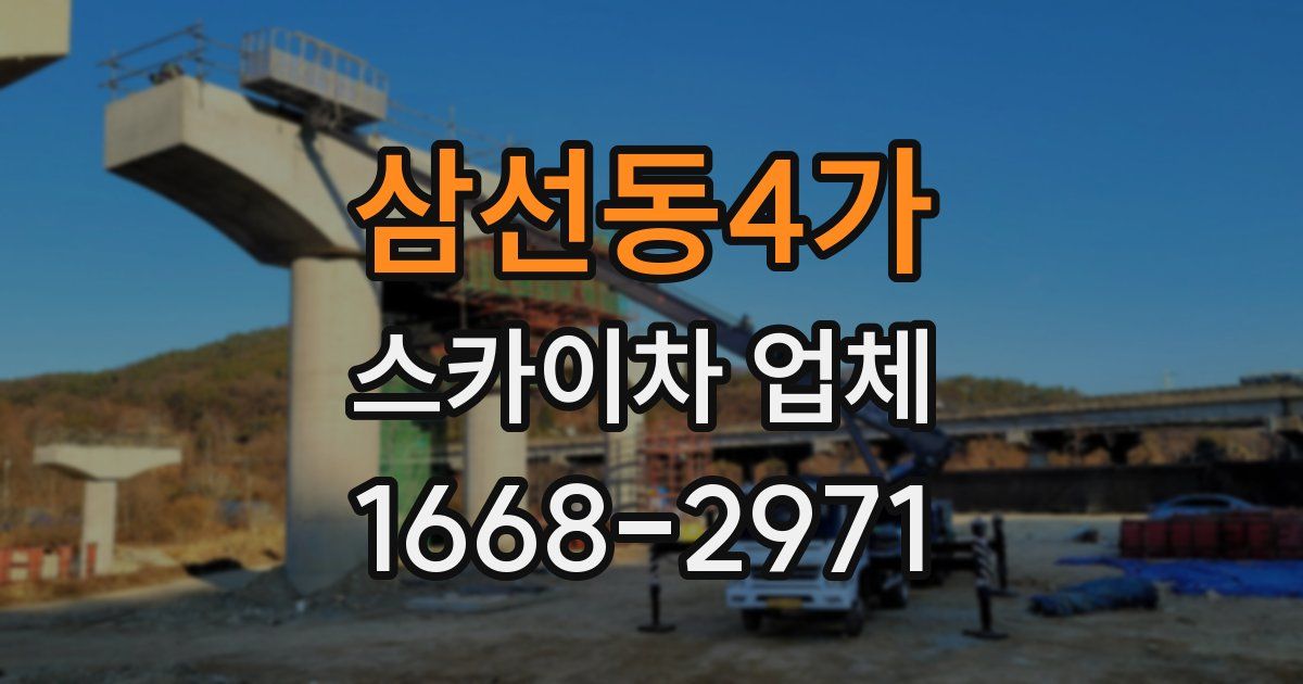 삼선동4가 스카이차 업체