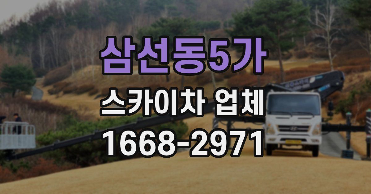 삼선동5가 스카이차 업체
