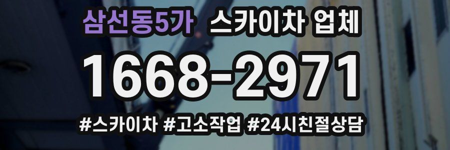삼선동5가 스카이차 업체