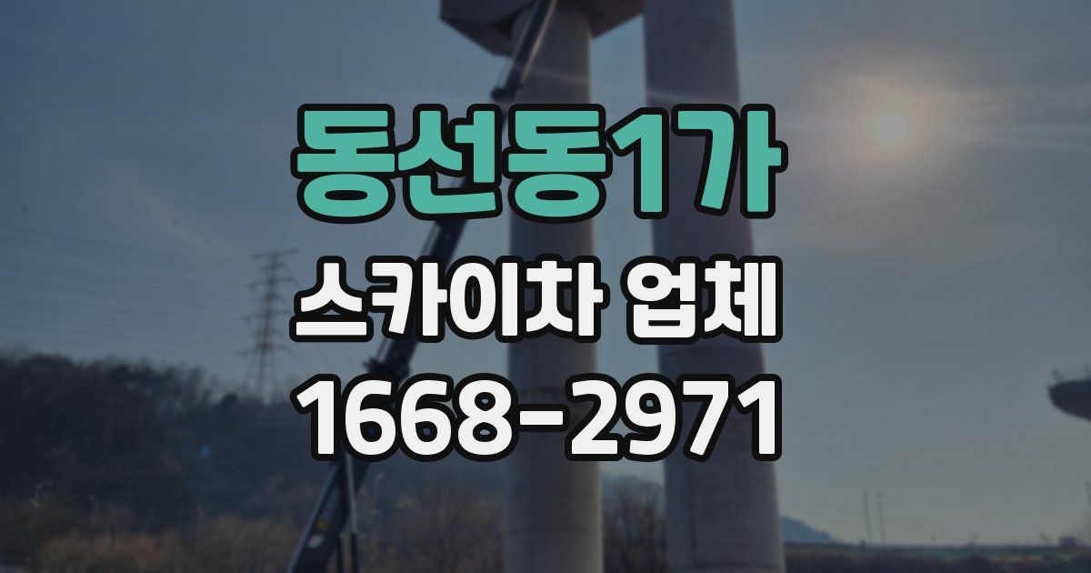 동선동1가 스카이차 업체