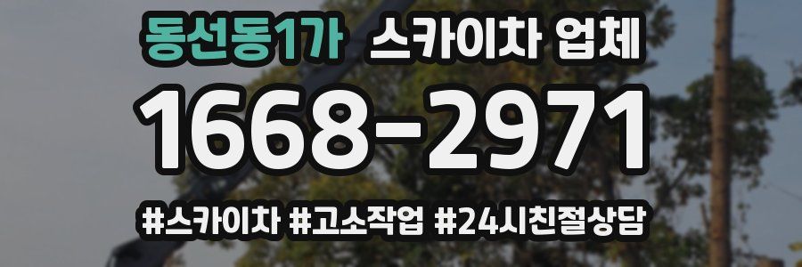 동선동1가 스카이차 업체