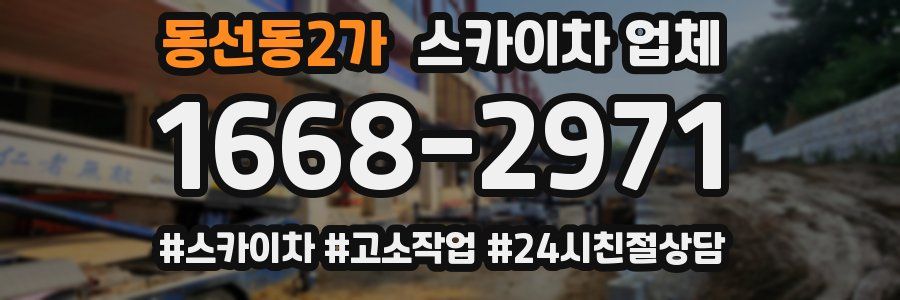 동선동2가 스카이차 업체