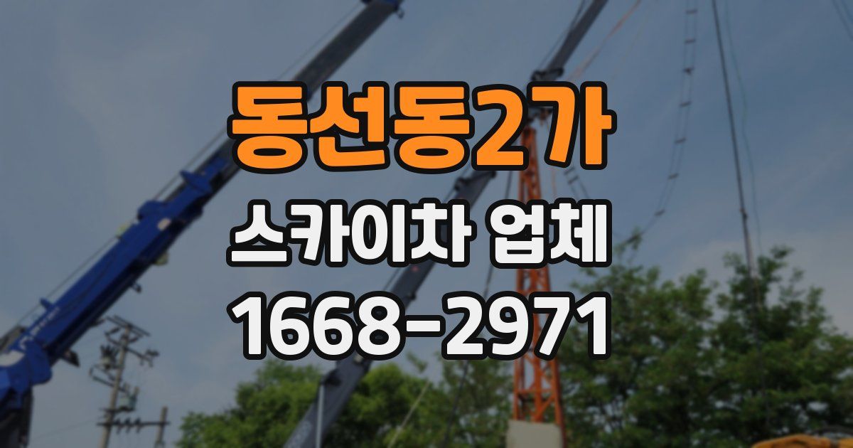 동선동2가 스카이차 업체