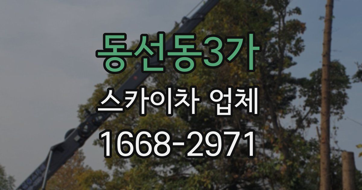 동선동3가 스카이차 업체
