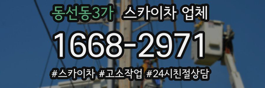 동선동3가 스카이차 업체