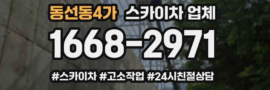 동선동4가 스카이차 업체