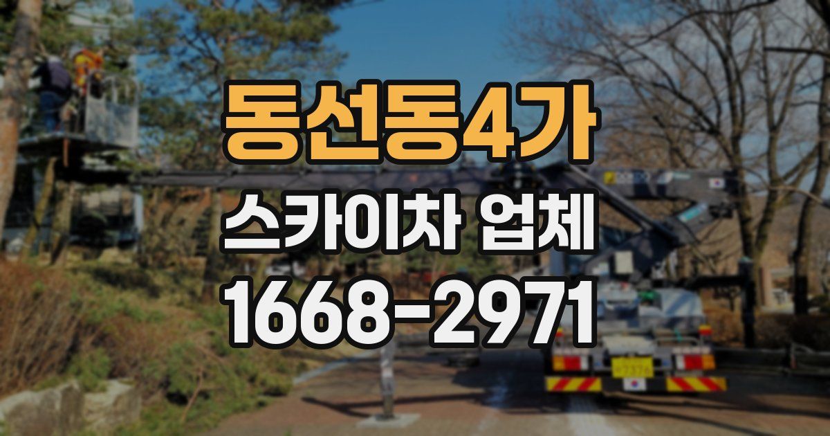 동선동4가 스카이차 업체