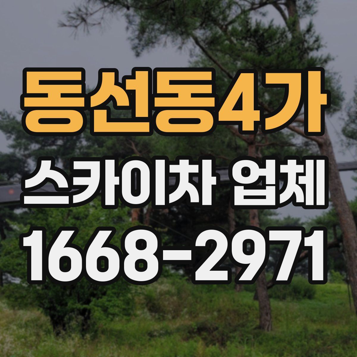 동선동4가 스카이차 업체
