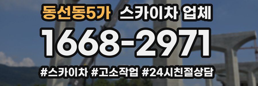 동선동5가 스카이차 업체