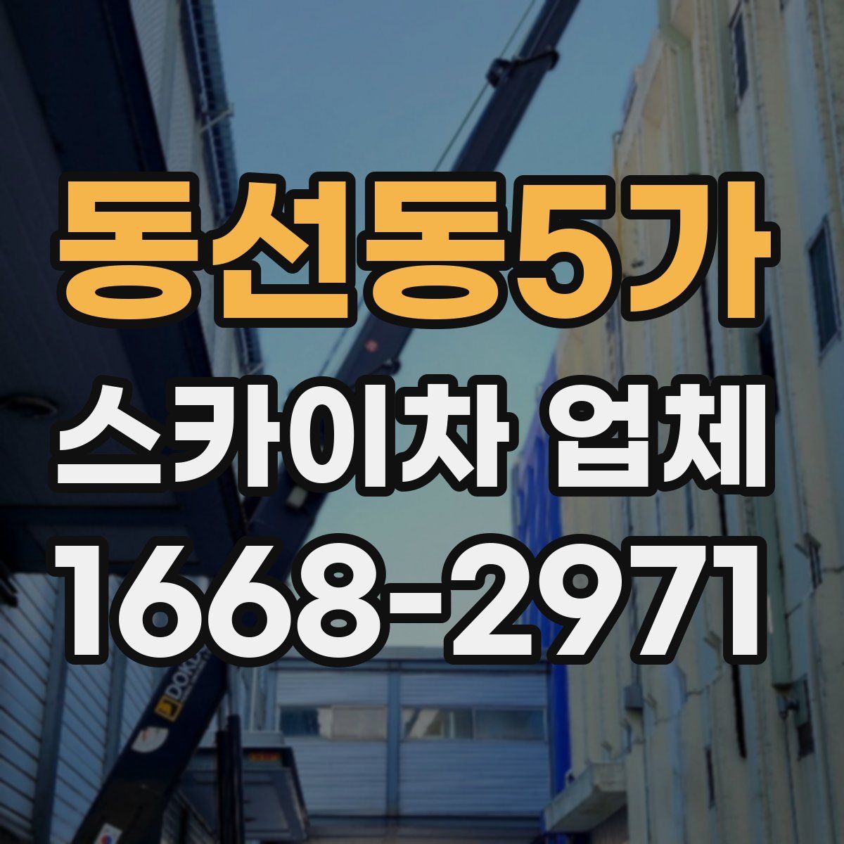 동선동5가 스카이차 업체