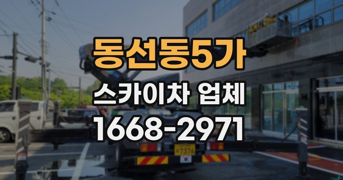 동선동5가 스카이차 업체
