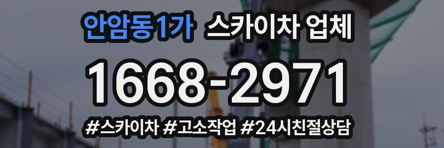 안암동1가 스카이차 업체