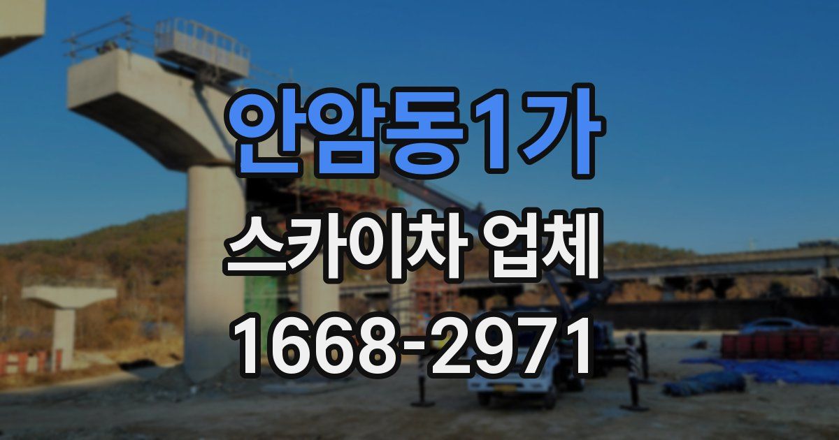 안암동1가 스카이차 업체
