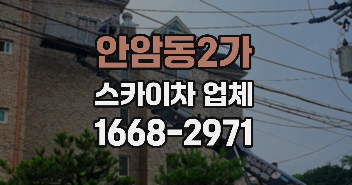 안암동2가 스카이차 업체