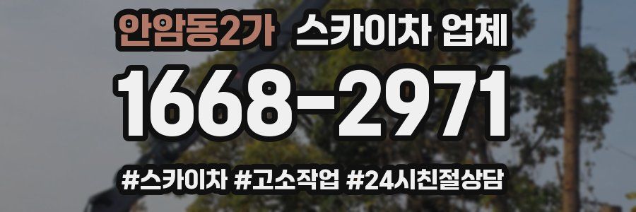 안암동2가 스카이차 업체