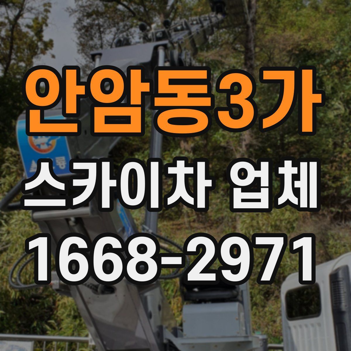 안암동3가 스카이차 업체