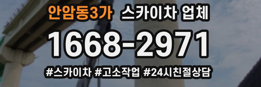 안암동3가 스카이차 업체