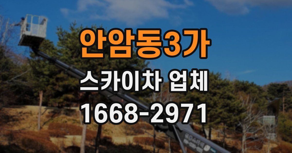 안암동3가 스카이차 업체