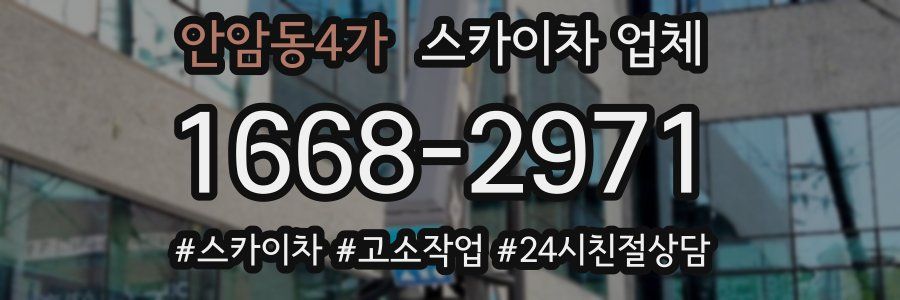안암동4가 스카이차 업체