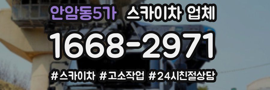 안암동5가 스카이차 업체
