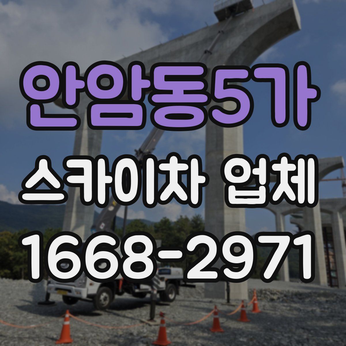 안암동5가 스카이차 업체