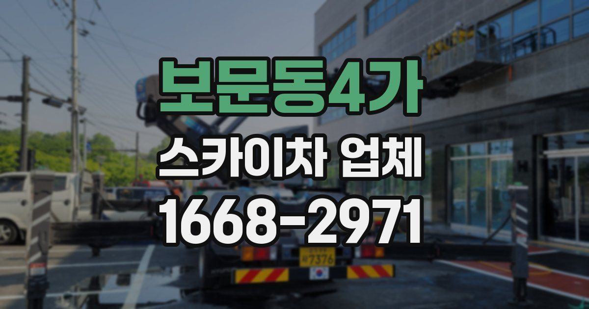 보문동4가 스카이차 업체