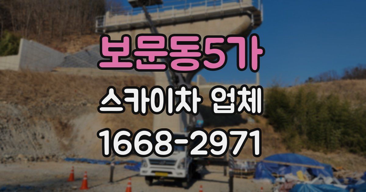 보문동5가 스카이차 업체