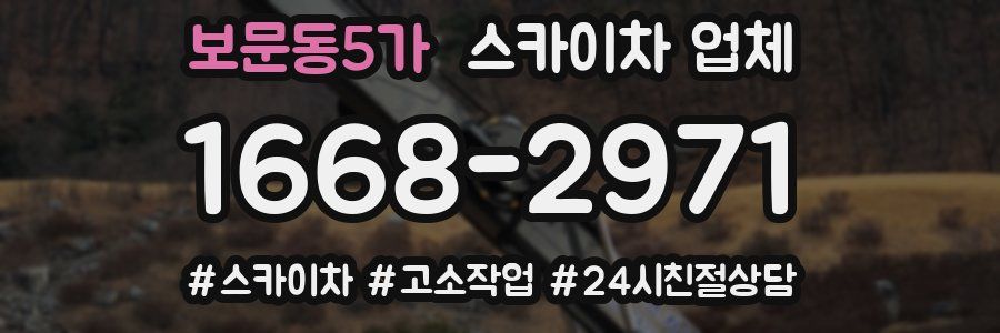 보문동5가 스카이차 업체