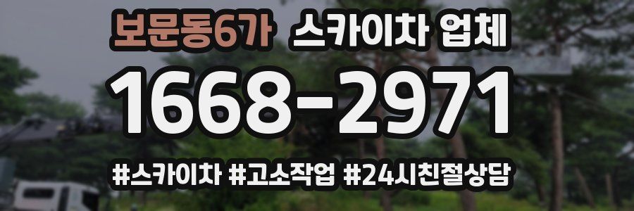 보문동6가 스카이차 업체